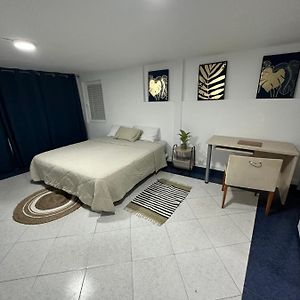 Habitación Deluxe con Cama King